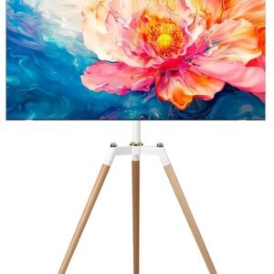 TV Monitor with Stand 50"